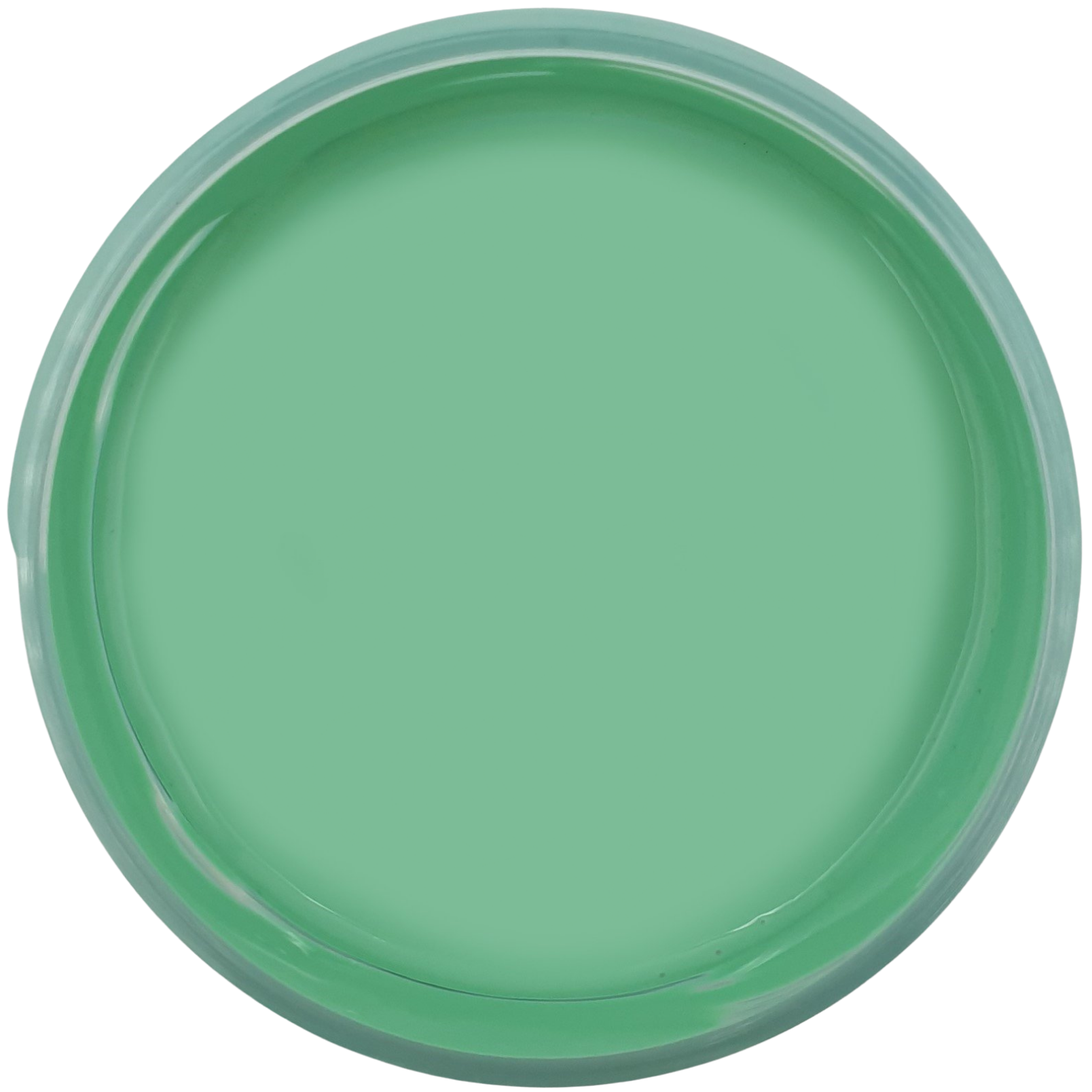 Epoxy Resin Pigment - Tropical Teal