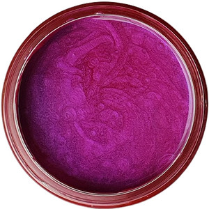 Fuchsia - Luster Epoxy Pigment Paste